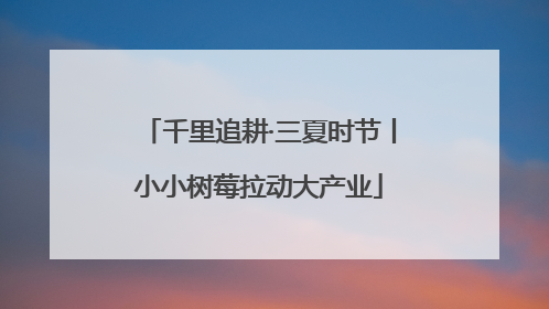 千里追耕·三夏时节丨小小树莓拉动大产业